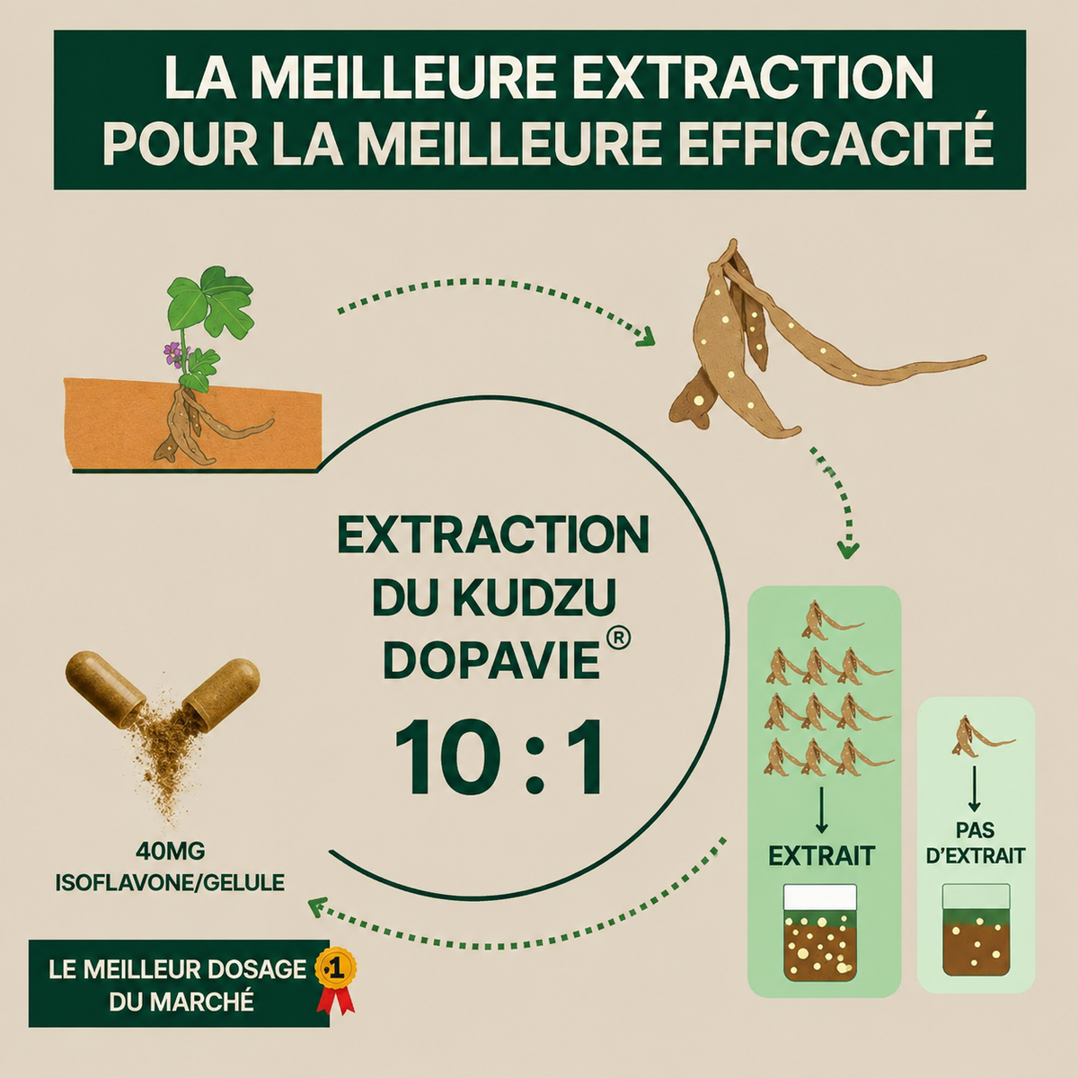 DOPAVIE 40 mg d’isoflavone Extrait de Kudzu - 100% Naturel