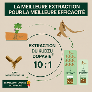 DOPAVIE 40 mg d’isoflavone Extrait de Kudzu - 100% Naturel